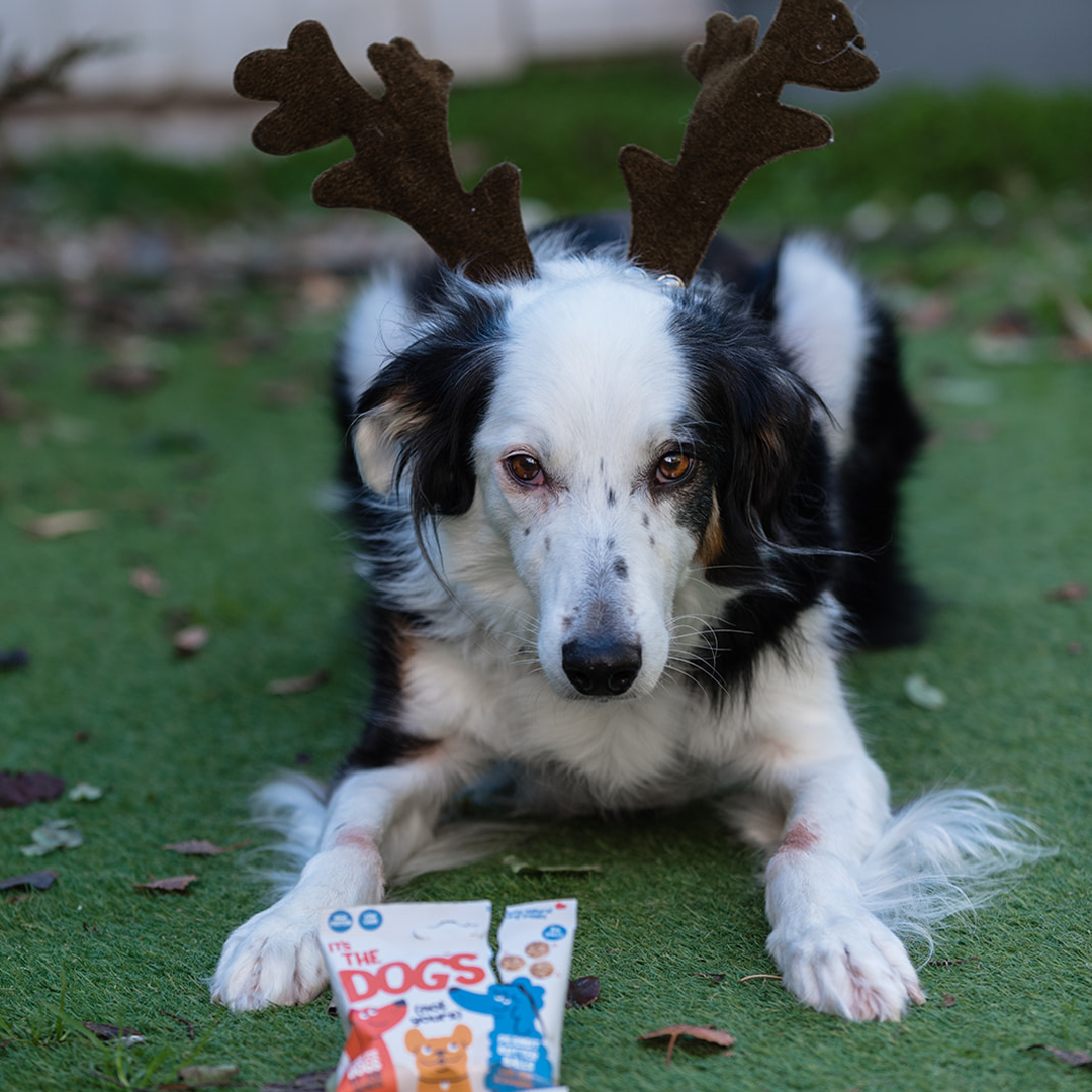 Peanut Butter Balls - Festive Box