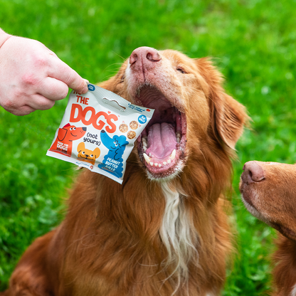 It's The Dogs - 1 x 45g bag