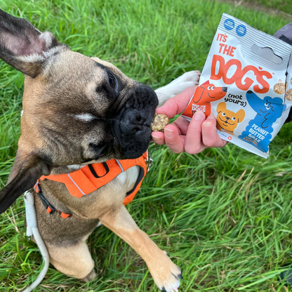 It's The Dogs - 1 x 45g bag