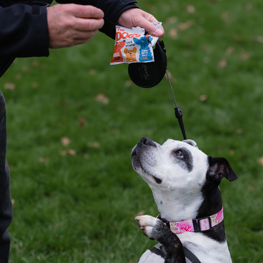 It's The Dogs - 1 x 45g bag