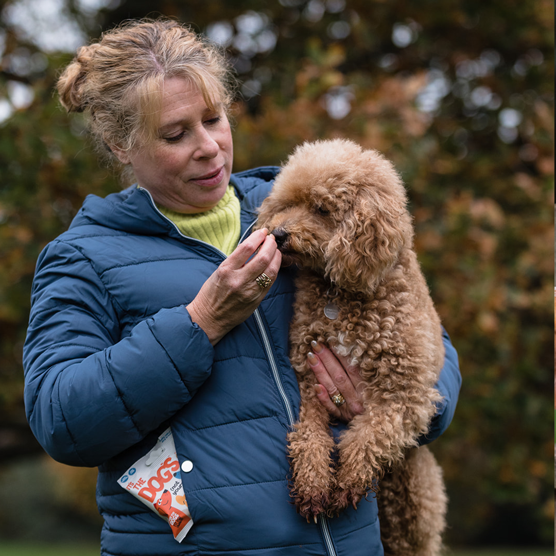 It's The Dogs - 1 x 45g bag